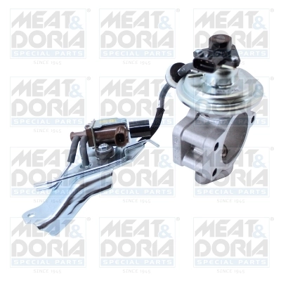 EGR Valve